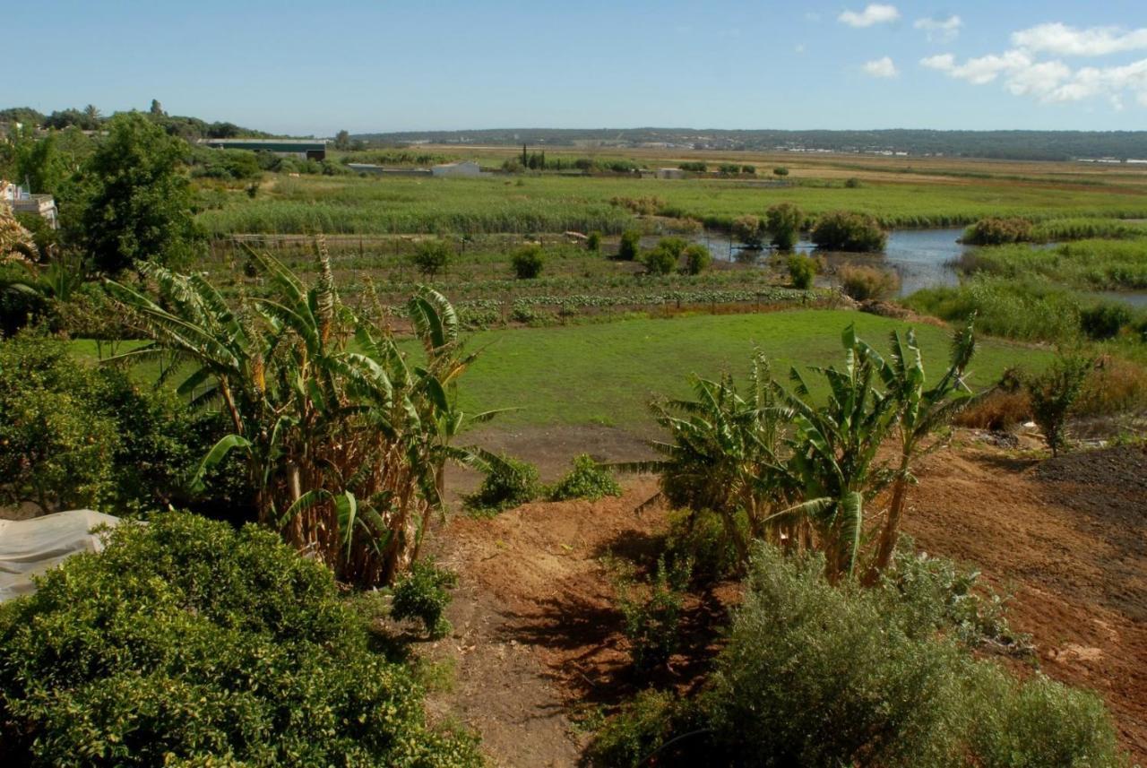 Pueblos Blancos Vejer de la Frontera Exterior foto